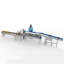 Packing System Conveyor